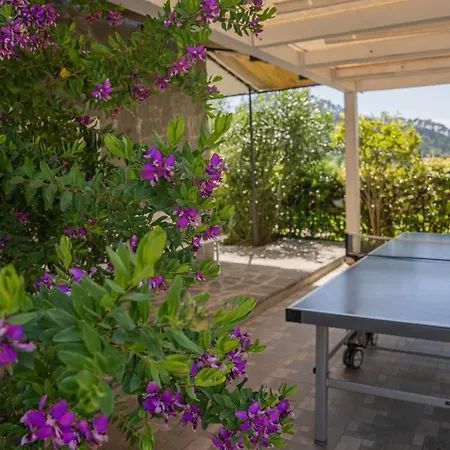 Mimosa - Luisa: Pace, Relax A 2 Passi Dal Mare * Casarza Ligure