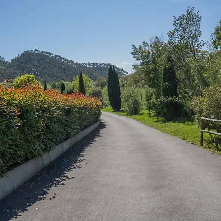 Mimosa - Luisa: Pace, Relax A 2 Passi Dal Mare Casarza Ligure