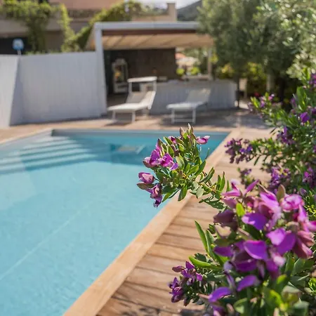 Mimosa - Luisa: Pace, Relax A 2 Passi Dal Mare *