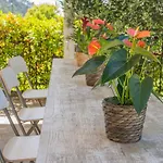 Mimosa - Luisa: Pace, Relax A 2 Passi Dal Mare *