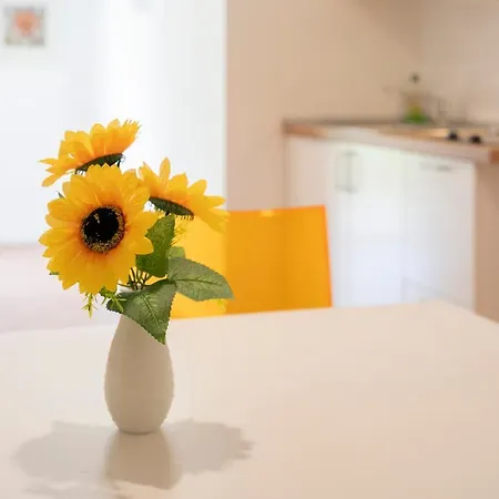 Apartment Mimosa - Luisa: Pace, Relax A 2 Passi Dal Mare