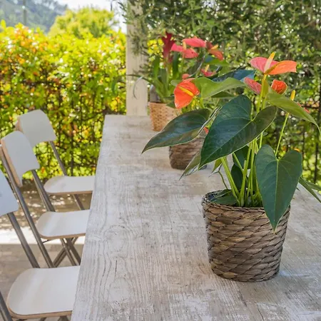 Mimosa - Luisa: Pace, Relax A 2 Passi Dal Mare *