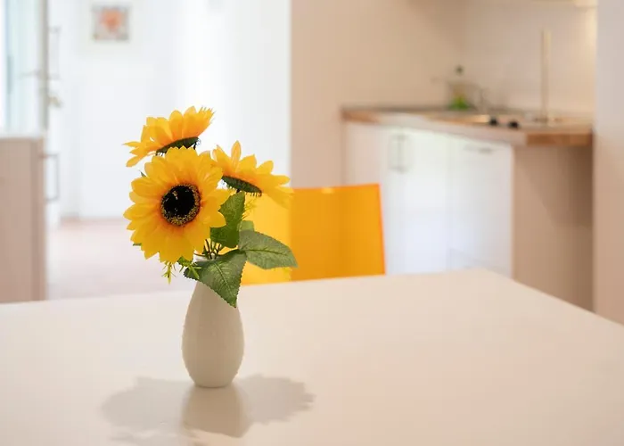 Apartmán Mimosa - Luisa: Pace, Relax A 2 Passi Dal Mare