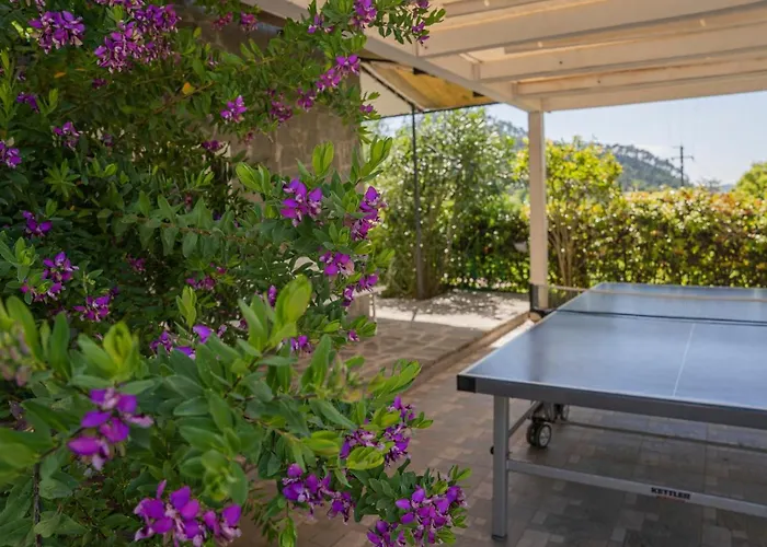 Mimosa - Luisa: Pace, Relax A 2 Passi Dal Mare * Casarza Ligure