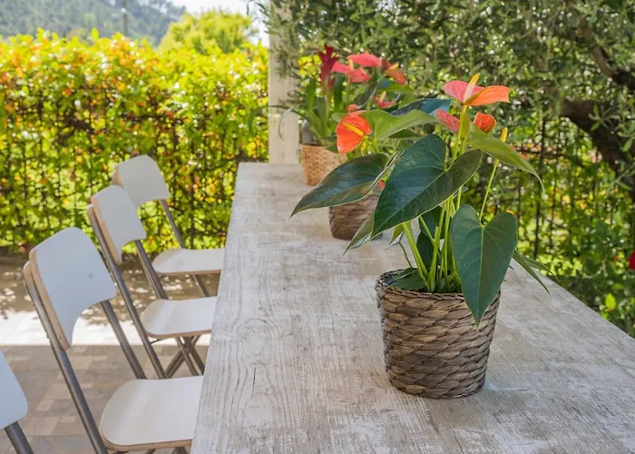 Mimosa - Luisa: Pace, Relax A 2 Passi Dal Mare *