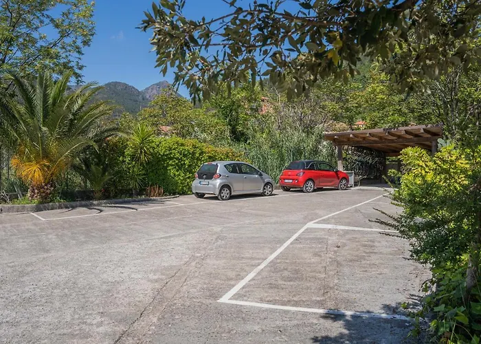 Mimosa - Luisa: Pace, Relax A 2 Passi Dal Mare Apartmán *