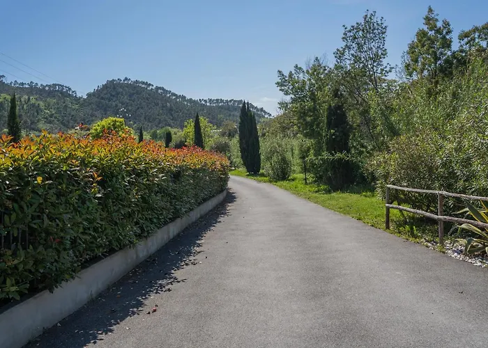 Mimosa - Luisa: Pace, Relax A 2 Passi Dal Mare Casarza Ligure